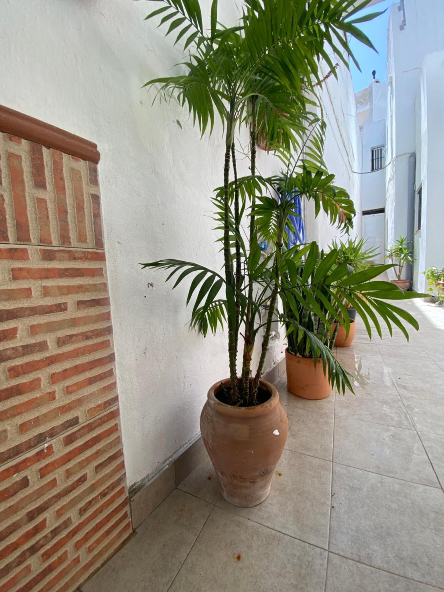 Casa Calle Вехер де ла Фронтера Екстериор снимка